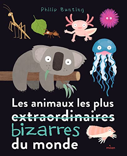 Les animaux les plus bizarres du monde Les animaux les plus bizarres du monde
