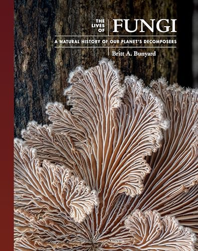 The Lives of Fungi: A Natural History of Our Planet's Decomposers (The Lives of the Natural World) von Princeton University Press