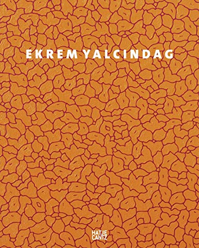 Ekrem Yalcindag: About Color, Nature, Ornaments, and Other Things von Hatje Cantz