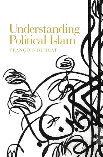 Understanding Political Islam von Manchester University Press
