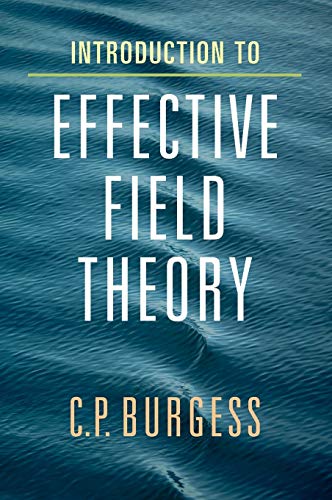 Introduction to Effective Field Theory: Thinking Effectively about Hierarchies of Scale von Cambridge University Press