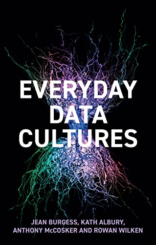 Everyday Data Cultures von Polity