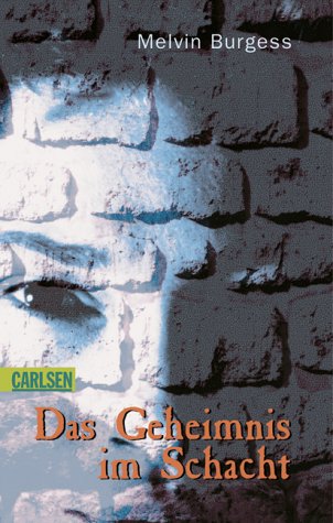 Das Geheimnis im Schacht