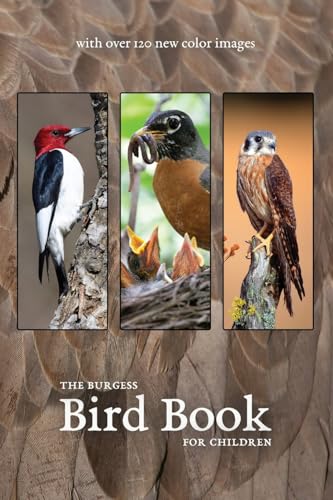 The Burgess Bird Book with new color images
