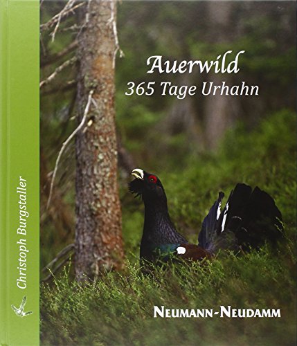 Auerwild – 365 Tage Urhahn