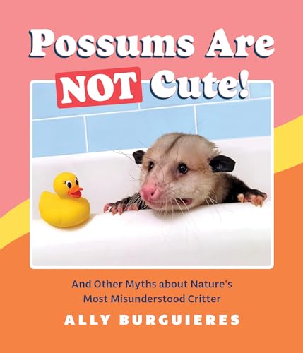 Possums Are Not Cute!: And Other Myths about Nature's Most Misunderstood Critter von Quirk Books