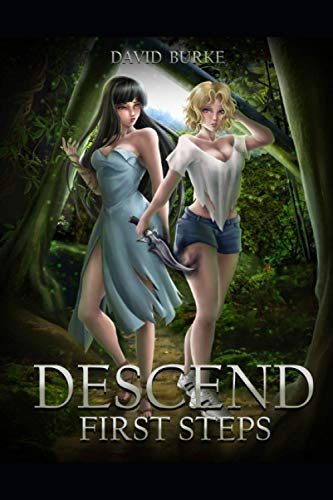 Descend- First Steps von Independently published
