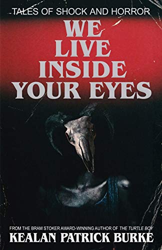We Live Inside Your Eyes von Independently Published