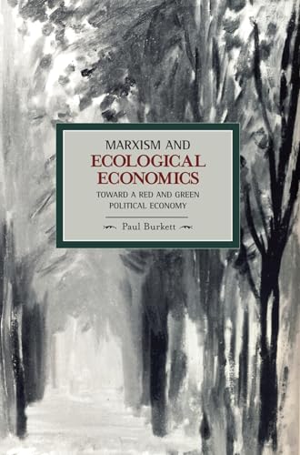 Marxism and Ecological Economics: Toward a Red and Green Political Economy (Historical Materialism)