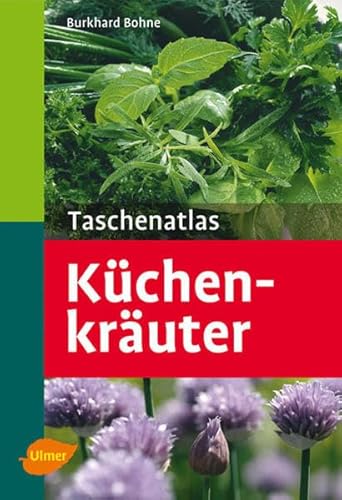 Taschenatlas Küchenkräuter: 131 Pflanzenporträts (Taschenatlanten) von Ulmer Eugen Verlag