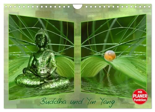 Buddha und Yin Yang (Wandkalender 2025 DIN A4 quer), CALVENDO Monatskalender: Zeit zum Kraft schöpfen von Calvendo