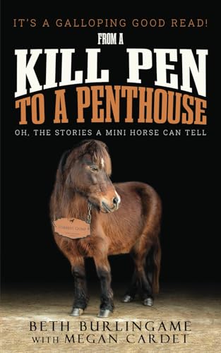 FROM A KILL PEN TO A PENTHOUSE von Primedia eLaunch LLC