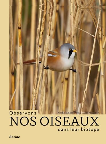 Observons nos oiseaux dans leur biotope