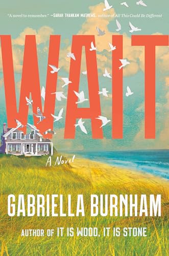 Wait: A Novel von Penguin