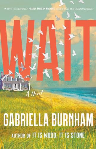 Wait: A Novel von Random House Publishing Group