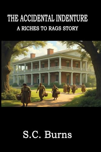 The Accidental Indenture - A Riches to Rags Story von ISBN Services