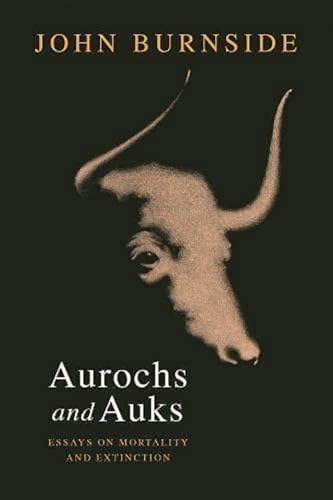 Aurochs and Auks: Essays on mortality and extinction von Little Toller Books