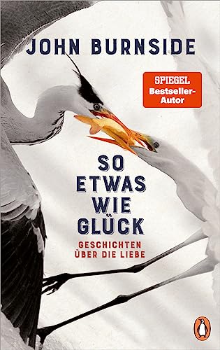 So etwas wie Glück: Geschichten über die Liebe
