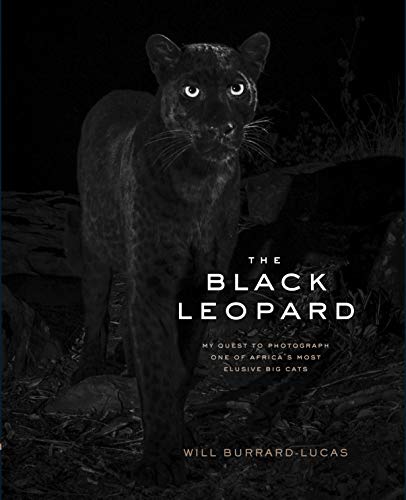 The Black Leopard: My Quest to Photograph One of Africa’s Most Elusive Big Cats von Chronicle Books