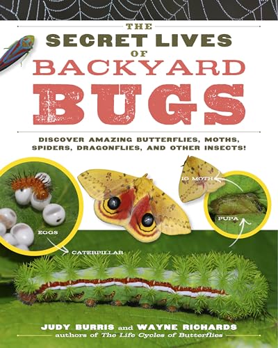 The Secret Lives of Backyard Bugs: Discover Amazing Butterflies, Moths, Spiders, Dragonflies, and Other Insects! von Workman Publishing