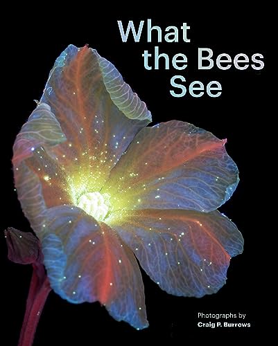 What the Bees See: A Honeybee's Eye View of the World von Chronicle Books