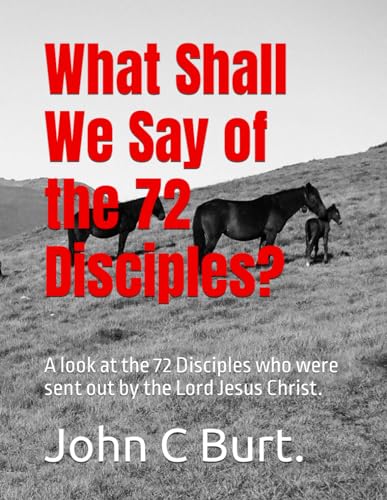 What Shall We Say of the 72 Disciples?: A look at the 72 Disciples who were sent out by the Lord Jesus Christ. von Independently published