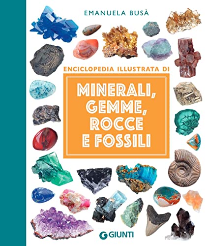 Minerali, gemme, rocce e fossili (Piccole enciclopedie illustrate)
