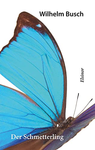 Der Schmetterling Der Schmetterling von Elsinor Verlag