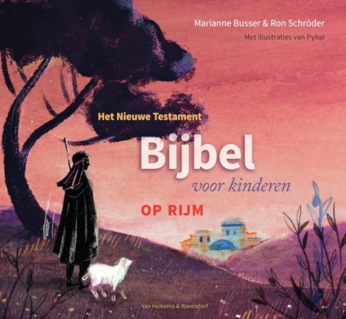 Het Nieuwe Testament op rijm (Bijbel voor kinderen) von Van Holkema & Warendorf