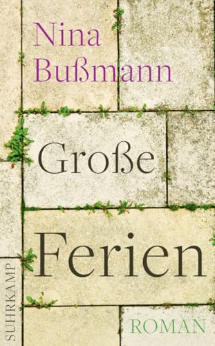 Große Ferien: Roman (suhrkamp taschenbuch)