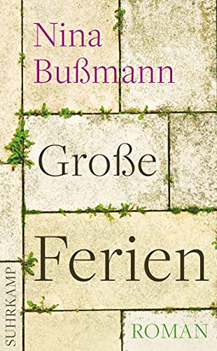 Große Ferien: Roman (suhrkamp taschenbuch)