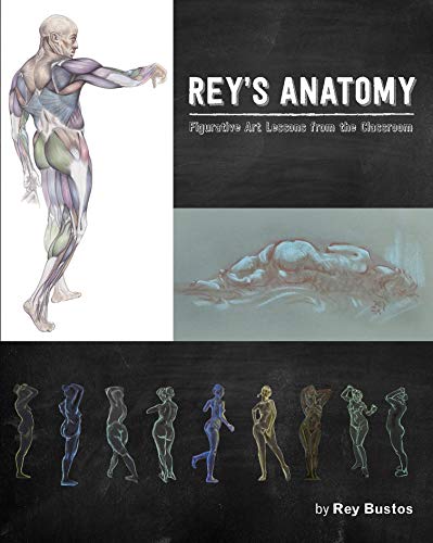 Rey's Anatomy: Figurative Art Lessons from the Classroom von Design Studio Press