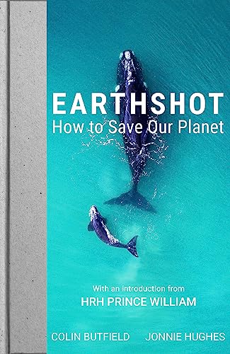 Earthshot: How to Save Our Planet von Mobius