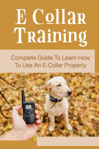 E Collar Training: Complete Guide To Learn How To Use An E-Collar Properly