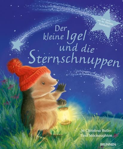 Der kleine Igel und die Sternschnuppen