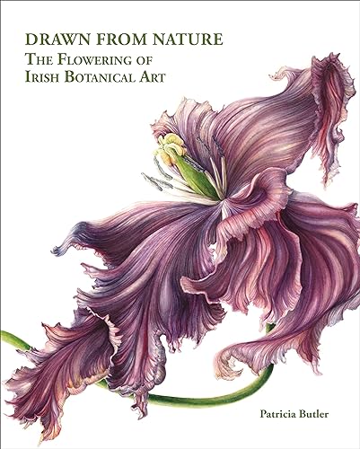 Drawn From Nature: The Flowering of Irish Botanical Art von ACC Art Books
