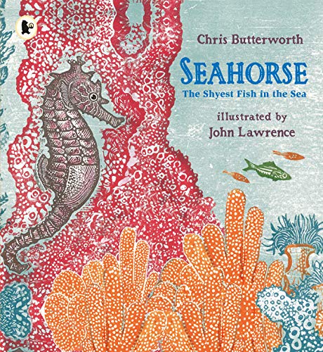 Seahorse: The Shyest Fish in the Sea von WALKER BOOKS