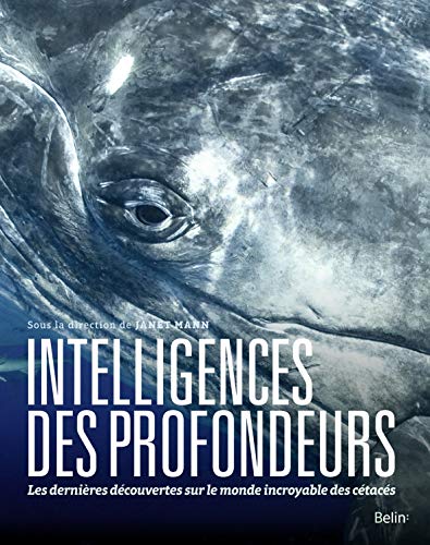 Intelligences des profondeurs: Les dernières découvertes sur le monde incroyable des cétacés von BELIN