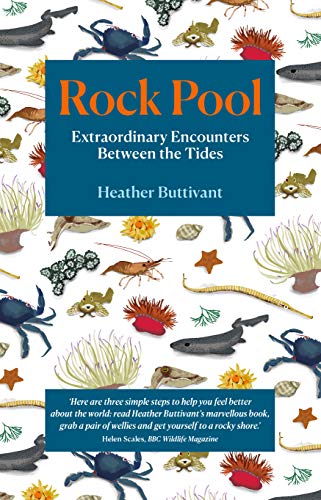 Rock Pool: Extraordinary Encounters Between the Tides von September Publishing