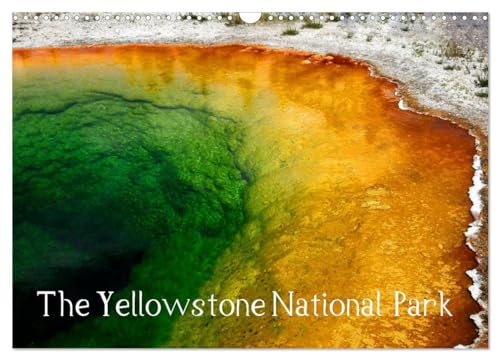 The Yellowstone National Park (Wall Calendar 2025 DIN A3 landscape), CALVENDO 12 Month Wall Calendar: Wonderful pictures amidst an impressive nature in the Yellowstone National Park. von Calvendo