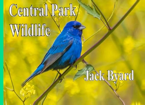 Central Park Wildlife von Jack Byard