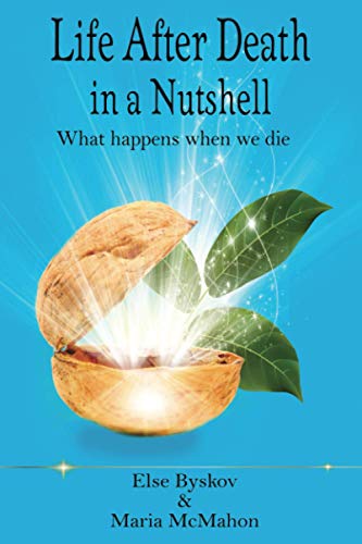 Life after Death in a Nutshell: What happens when we die? von Independently published