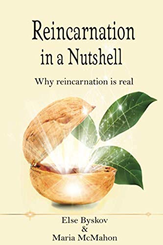 Reincarnation in a Nutshell: Why Reincarnation is real (Spiritualnutshell series, Band 1) von Independently published