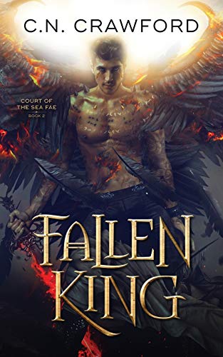 Fallen King (Shadow Fae, Band 9)