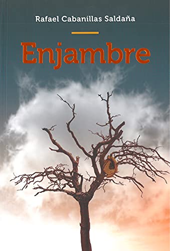 ENJAMBRE von EDITORIAL CUARTO CENTENARIO