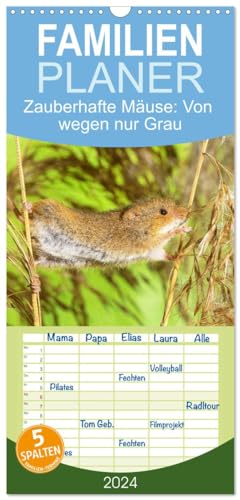 Familienplaner 2024 - Zauberhafte Mäuse: Von wegen nur Grau mit 5 Spalten (Wandkalender, 21 cm x 45 cm) CALVENDO