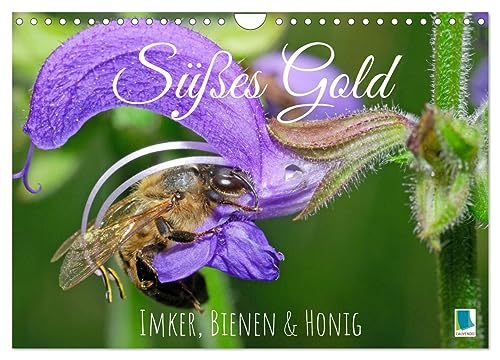 Süßes Gold: Imker, Bienen & Honig (Wandkalender 2024 DIN A4 quer), CALVENDO Monatskalender von CALVENDO