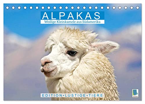 Alpakas: Wollige Kleinkamele aus Südamerika - Edition lustige Tiere (Tischkalender 2024 DIN A5 quer), CALVENDO Monatskalender von CALVENDO