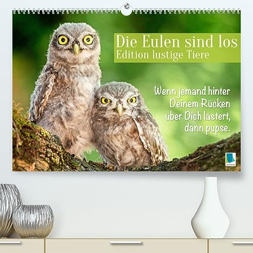 Die Eulen sind los: Edition lustige Tiere (hochwertiger Premium Wandkalender 2024 DIN A2 quer), Kunstdruck in Hochglanz