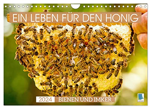 Ein Leben für den Honig - Bienen und Imker (Wandkalender 2024 DIN A4 quer), CALVENDO Monatskalender von CALVENDO